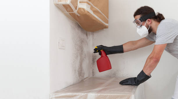 Professional Bathroom Mold Removal technician working in Mill Neck, NY